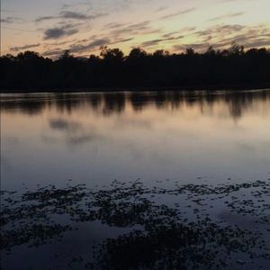 Meet your Posher, Johnny